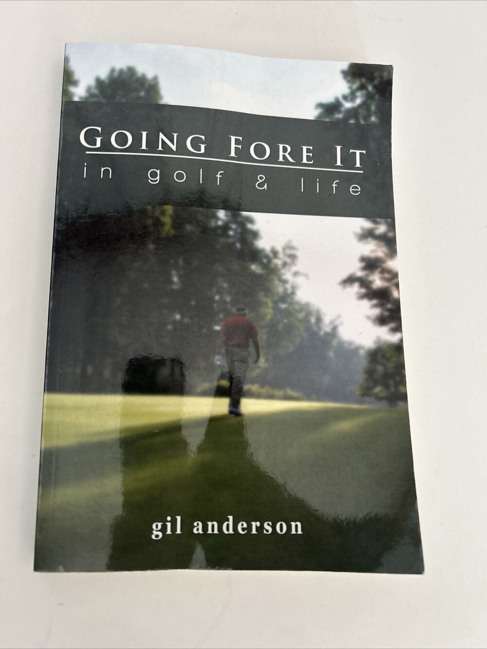 Going Fore It In Golf and Life Gil Anderson Paperback Motivation 2011